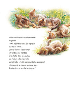 Martine et les chatons