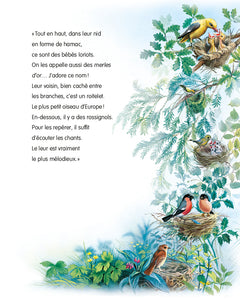 En forêt