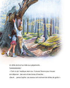 En forêt