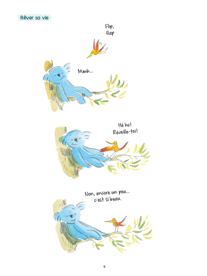 La philosophie koala