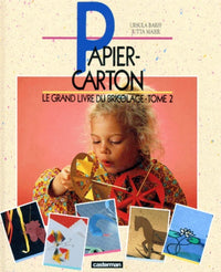 Papier-carton, le grand livre du bricolage - 2