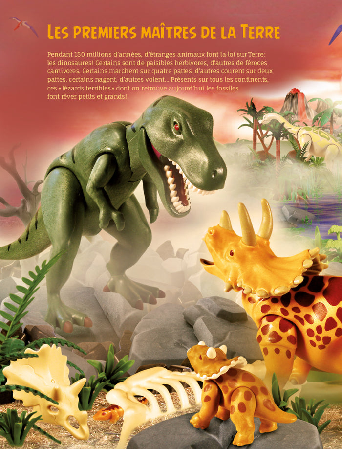 Playmobil - Si l'Histoire m'était contée