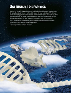 Playmobil - Si l'Histoire m'était contée