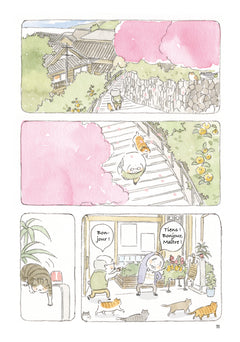 Le Vieil homme et son chat