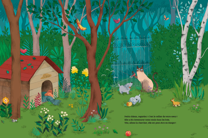 Suivez le guide - Aventure en forêt