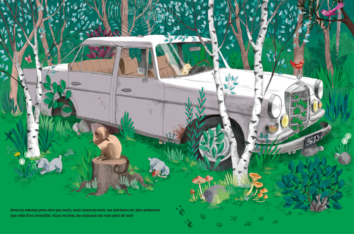 Suivez le guide - Aventure en forêt