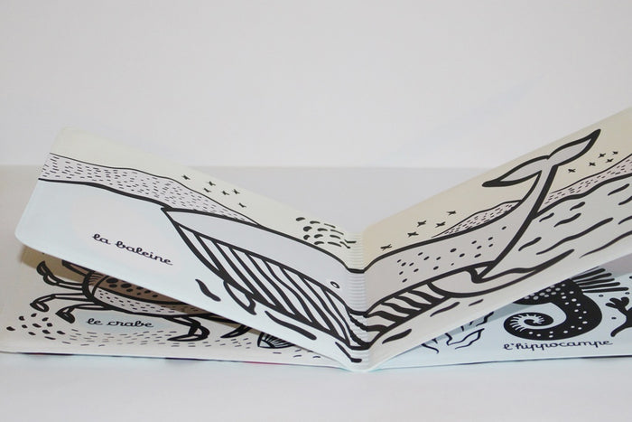 Mon imagier du bain - Petite tortue et ses amis