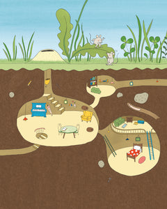 Le jardin de Jaco