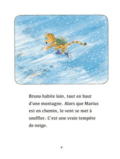 Complètement givré