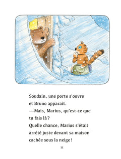 Complètement givré