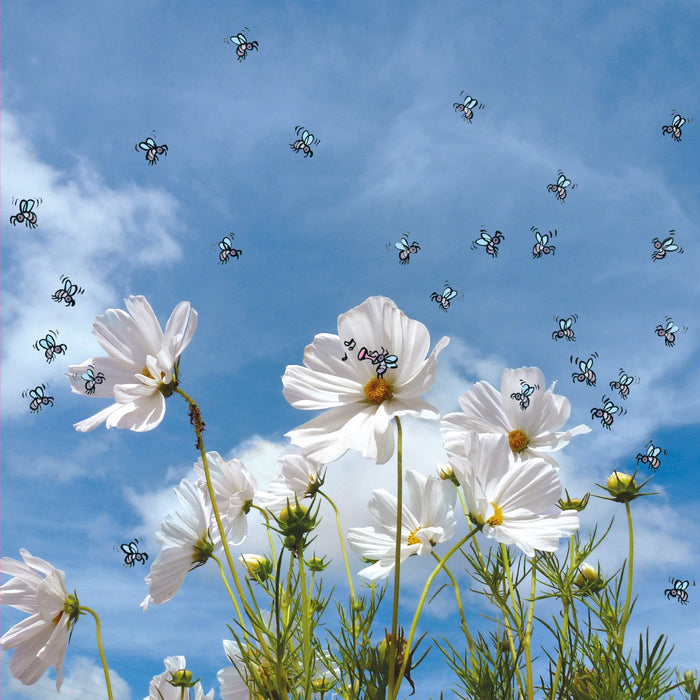 Cherche la p'tite bête !