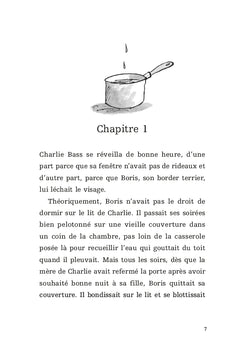 Mon cheval très spécial