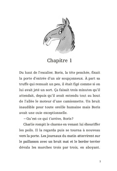 Mon cheval très spécial