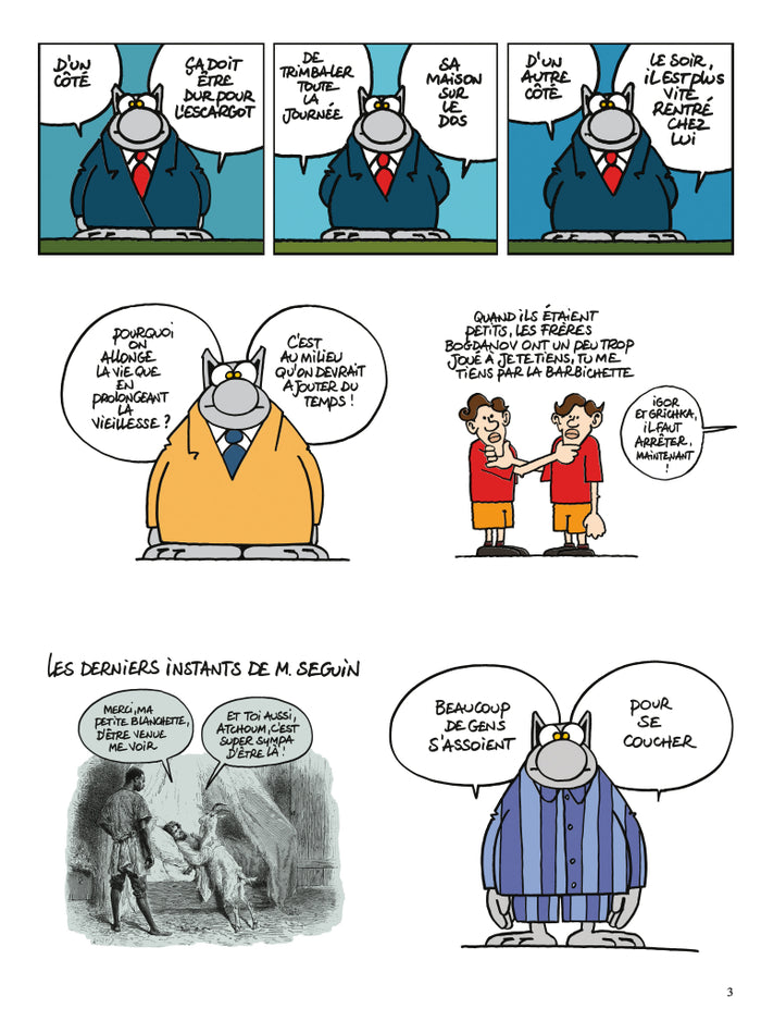 Le Chat pète le feu