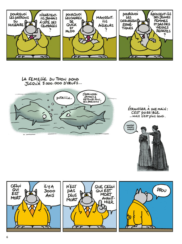 Le Chat pète le feu