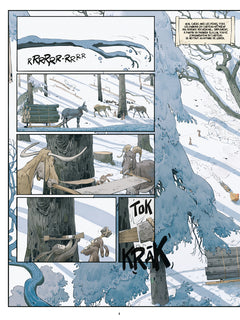 Les marguerites de l'hiver