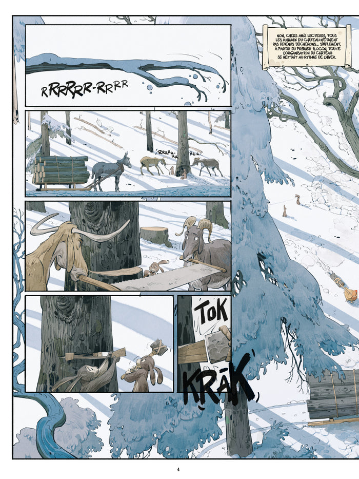 Les marguerites de l'hiver