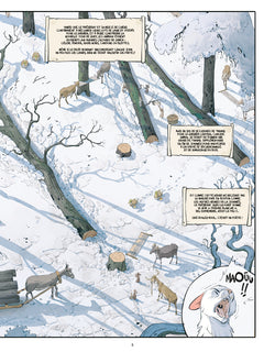 Les marguerites de l'hiver