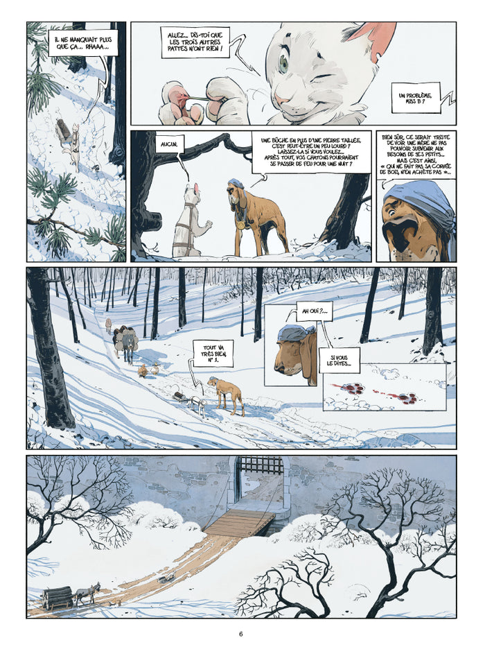 Les marguerites de l'hiver