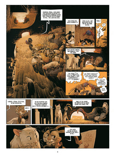 Les marguerites de l'hiver