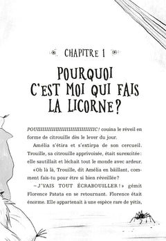 Les seigneurs licornes