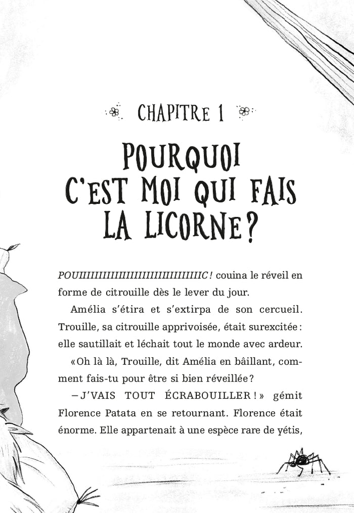 Les seigneurs licornes