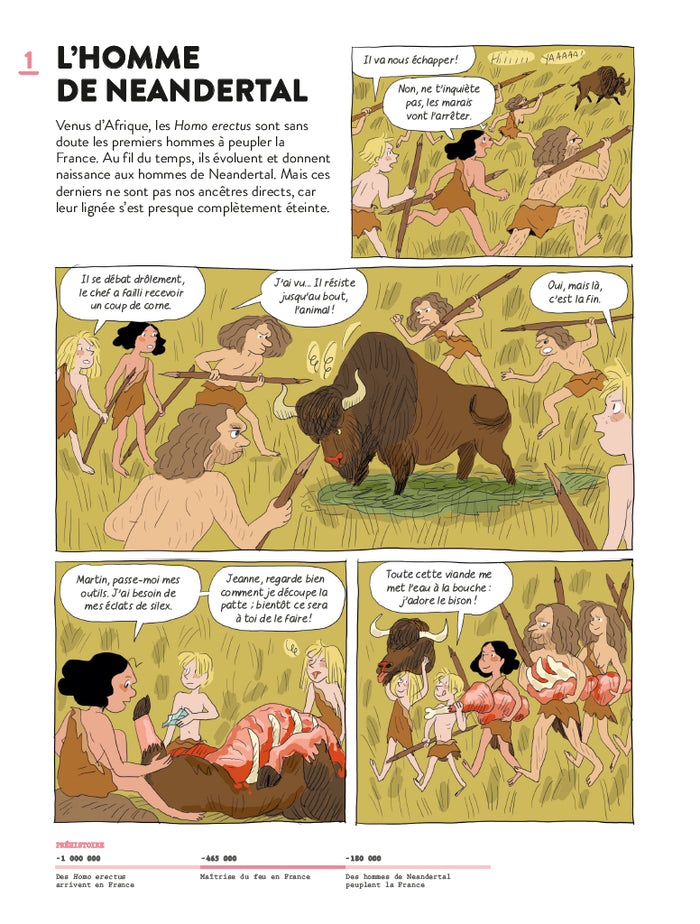 Histoire de France en BD - Ma première Histoire de France en BD