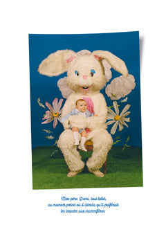 Les faits et gestes de la famille papillon