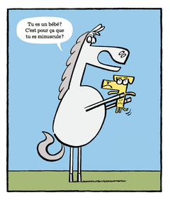 Cheval rencontre Chien