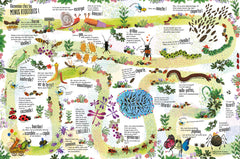 Plein plein plein - Plein plein plein d'animaux