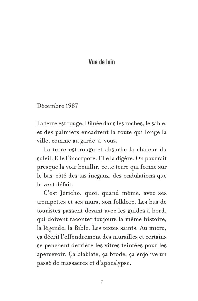 L'année des pierres