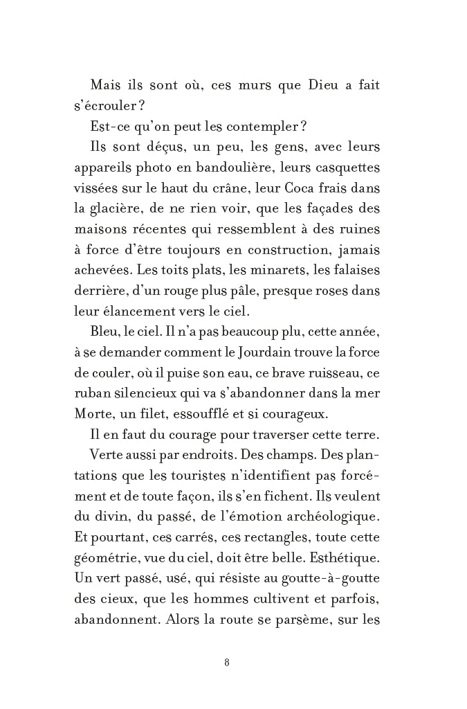 L'année des pierres