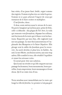 L'année des pierres