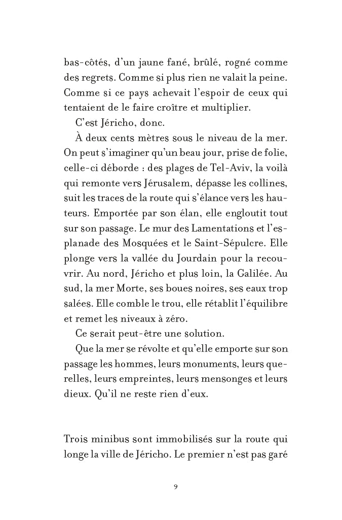 L'année des pierres