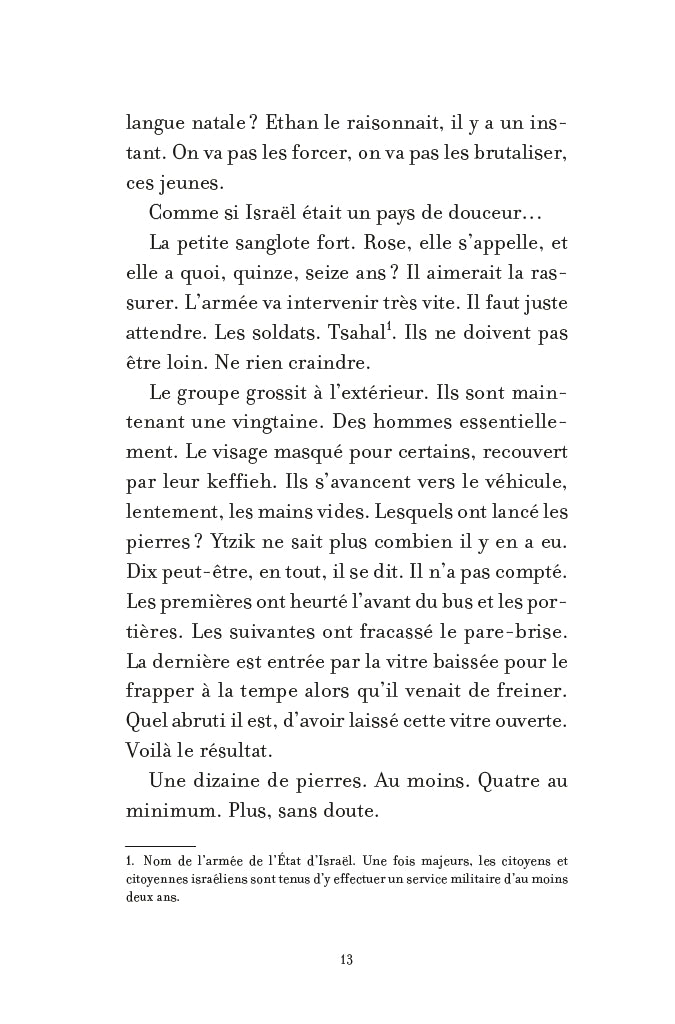 L'année des pierres