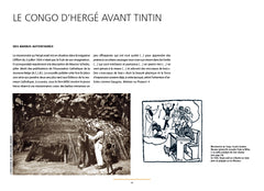 Les tribulations de Tintin au Congo