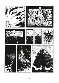 Comès, les romans noir et blanc - 1987-2006
