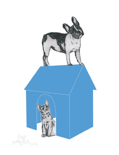 Les animaux rêvent aussi