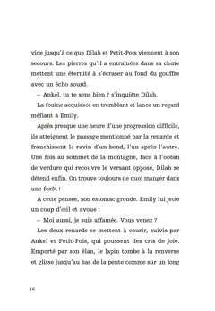 La quête du renard blanc