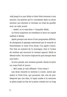 La quête du renard blanc