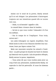 La quête du renard blanc