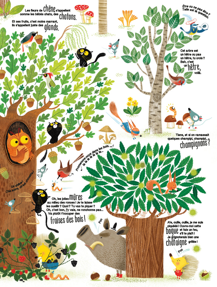 Plein plein plein - Plein plein plein de nature