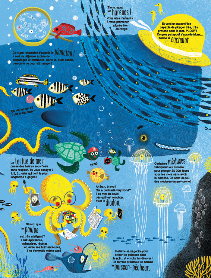 Plein plein plein - Plein plein plein de nature