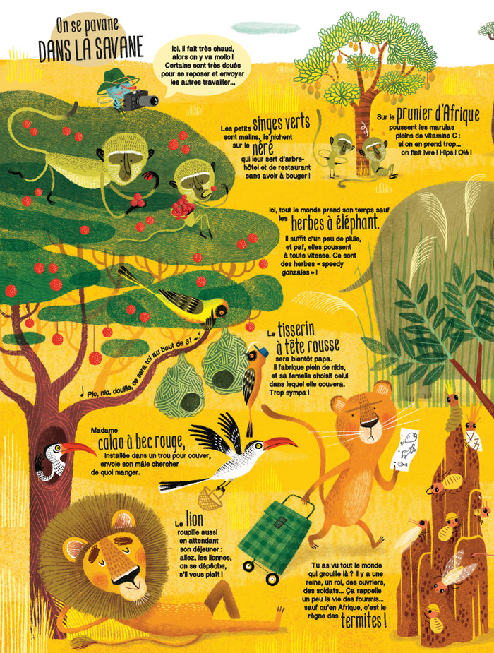 Plein plein plein - Plein plein plein de nature