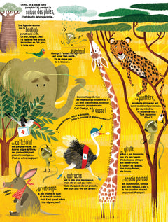 Plein plein plein - Plein plein plein de nature