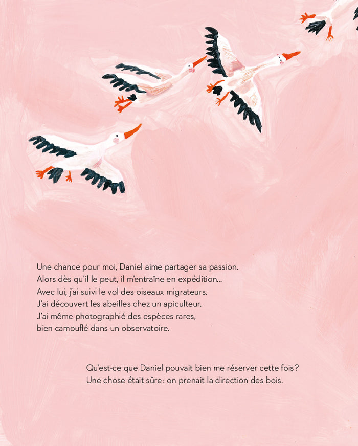 La vie secrète de la forêt