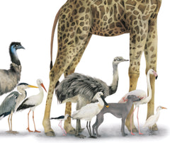 Le grand défilé des animaux