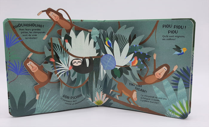 Mon premier pop-up - Ça bouge pas mal dans la jungle