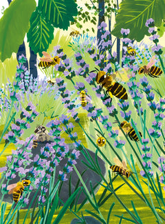 Le trésor du marais