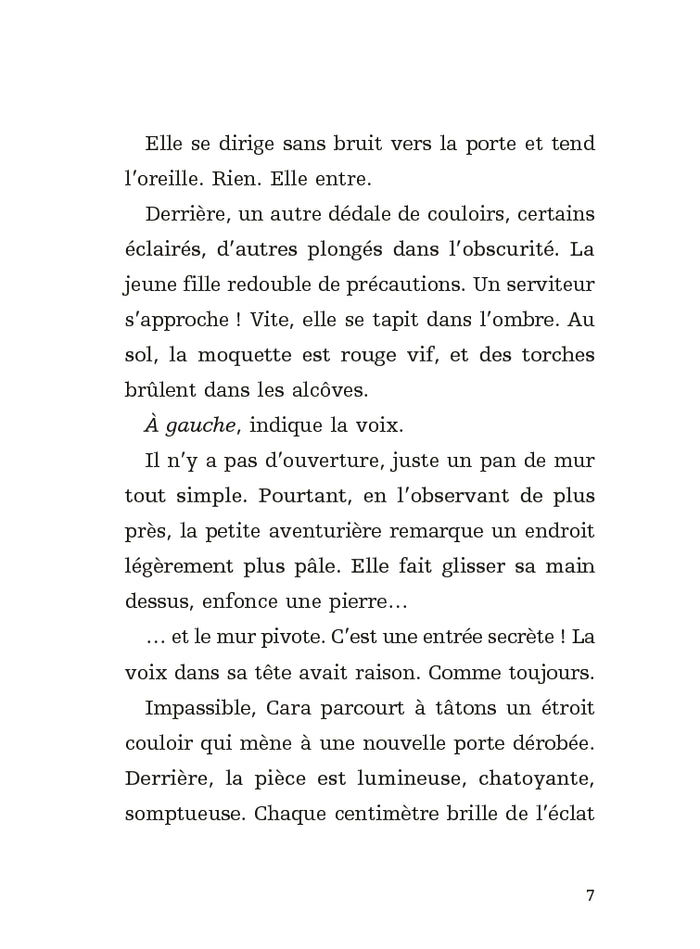 L’académie des dragons T2 : Cara et Voleuse d’Argent